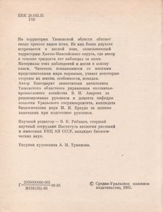 Птицы Тайги