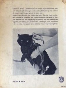 Et bedre katteliv