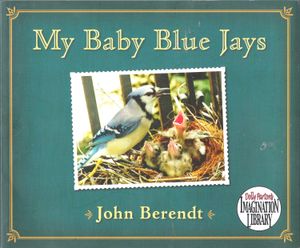 My Baby Blue Jays