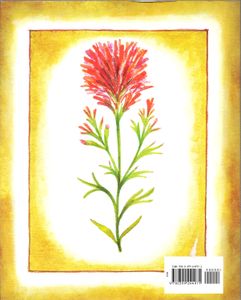 The Legend of the Indian Paintbrush