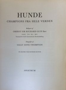 Hunde Champione fra hele verden