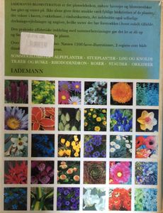 Lademanns blomsteratlas