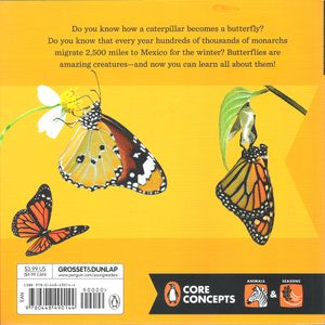 Fly, Butterfly