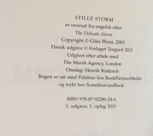 Stille storm