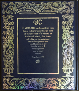 Wizardology: The Book of the Secrets of Merlin