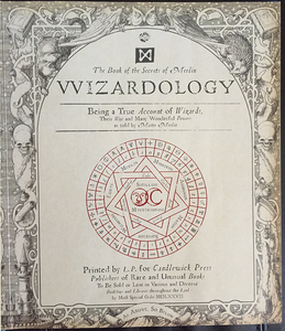 Wizardology: The Book of the Secrets of Merlin