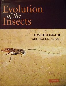 Evolution of the Insects