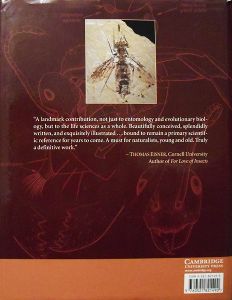 Evolution of the Insects