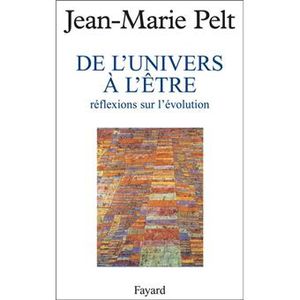 De l'univers à l'etre