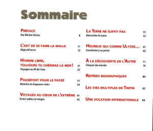 Le Timbre Voyage Avec Tintin