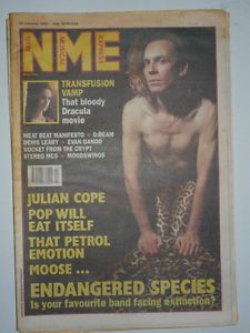 NME 30 January 1993