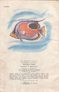 Морские Рыбы