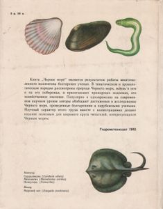 Черное Море