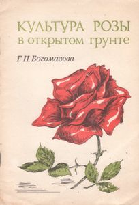 Культура Розы В Открытом Грунте