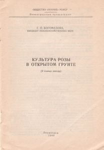Культура Розы В Открытом Грунте