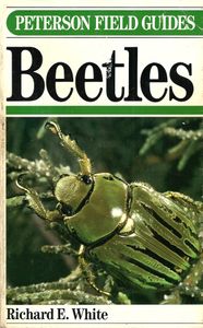 A Field Guide to the Beetles of North America