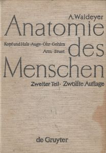 Anatomie des Menschen, Zweiter Teil