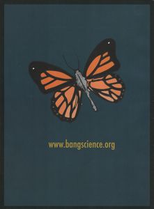 Bang! Issue 17: Trinity Term 2014