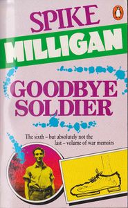 Goodbye Soldier