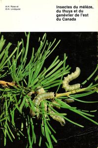 Insectes du mélèze, du thuya et du genévrier de l'est du Canada