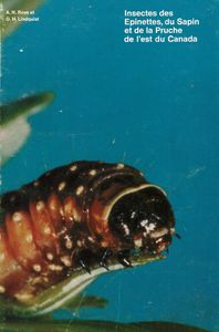 Insectes des épinettes, du sapin et de la pruche de l'est du Canada