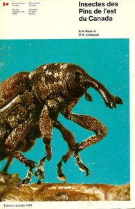 Insectes des pins de l'est du Canada