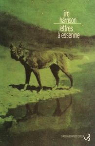 Lettres A Essenine