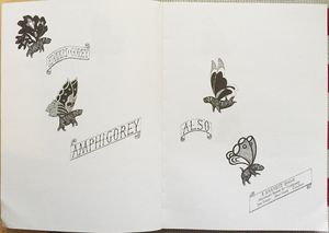 Amphigorey Also