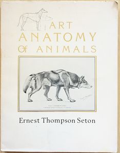 Art Anatomy of Animals