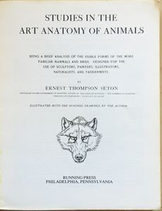 Art Anatomy of Animals