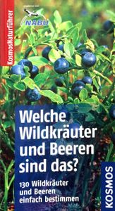 Welche Wildkräuter und Beeren sind das?