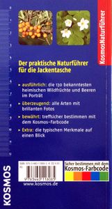 Welche Wildkräuter und Beeren sind das?