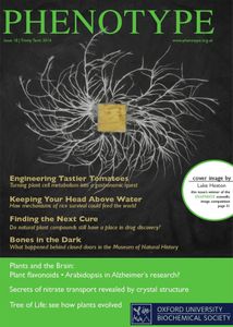 Phenotype Issue 18 | Trinity Term 2014