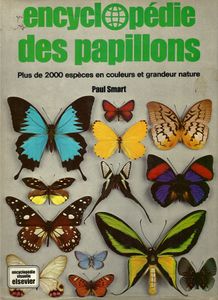 Encyclopédie des papillons