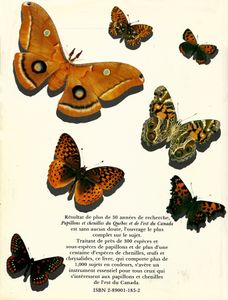 Papillons et chenilles du Québec et de l'est du Canada