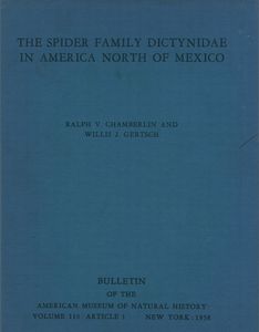 The Spider Family Dictynidae In America North Of Mexico