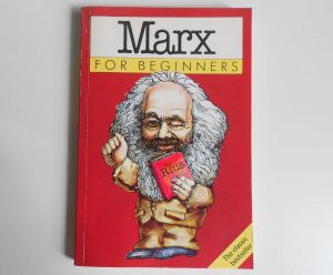 Marx for Beginners