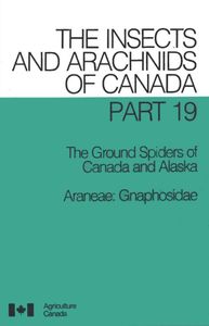 The Ground Spiders Of Canada And Alaska (Araneae: Gnaphosidae)