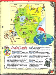 Find Out All About The African Safari