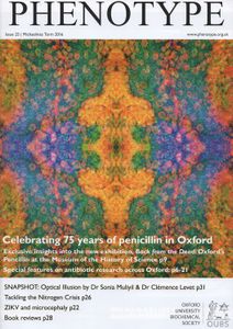 Phenotype Issue 25 / Phenotype 'Omics | Michaelmas Term 2016