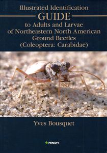 Illustrated Identification Guide to Adults and Larvae of Northeastern North American Ground Beetles (Coleoptera: Carabidae)