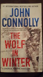 The Wolf In Winter