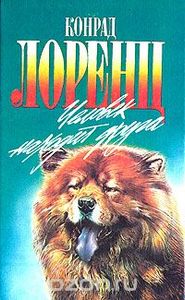 Человек Находит Друга