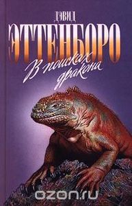 В Поисках Дракона