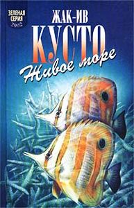 Живое Море