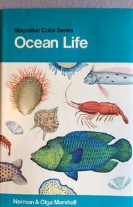 Ocean Life