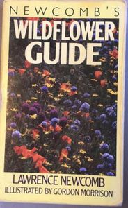 Newcomb's Wildflower Guide