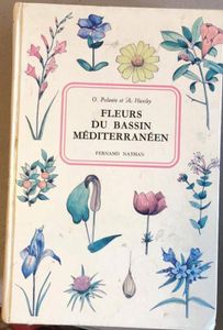 Fleurs du Bassin Mediterraneen