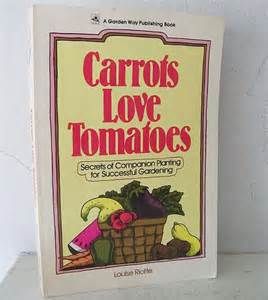 Carrots Love Tomatoes