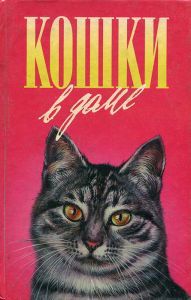 Кошки В Доме